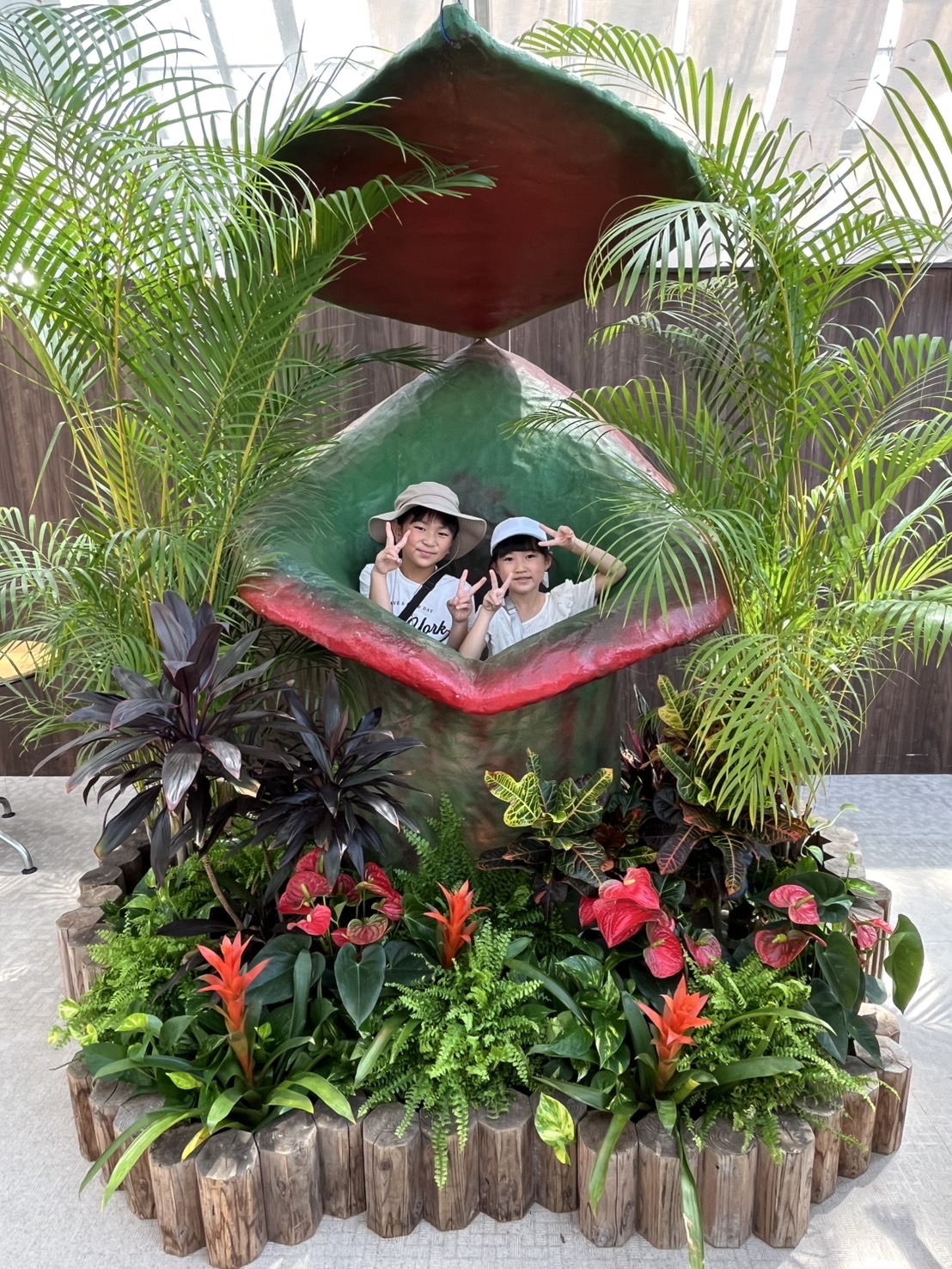 ★送無！新品！「アブラカダブラ」+「ガラスの植物園」 IMG_3998.jpg
